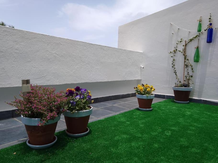 Apartamento Humboldt ,Island Paradise La Orotava Εξωτερικό φωτογραφία