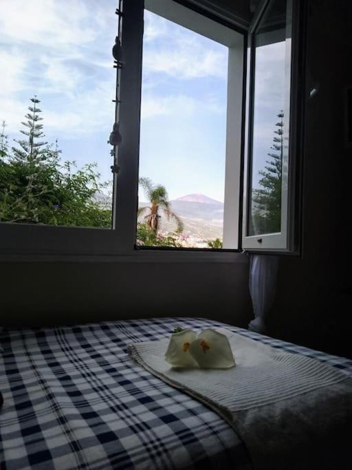 Apartamento Humboldt ,Island Paradise La Orotava Εξωτερικό φωτογραφία